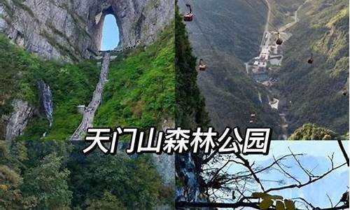 天门山门票多少钱一张本地人_天门山门票多