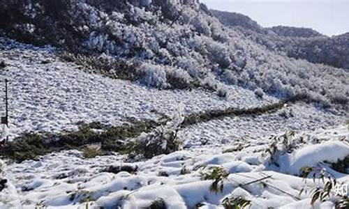 重庆天气南川金佛山_重庆南川金佛山天气预报15天准确