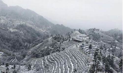 夷陵天气预报40天查询_夷陵天气