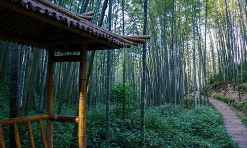 宜宾蜀南竹海天气预报_宜宾蜀南竹海天气预报一周 7天