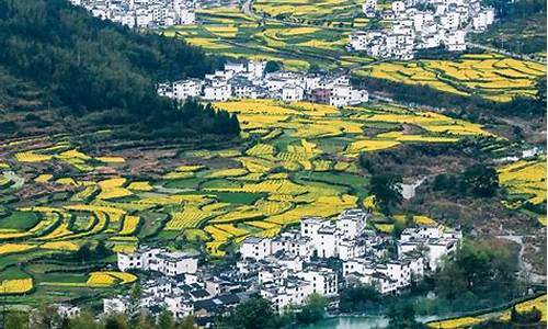 婺源旅游几月份去最好_去江西婺源的最佳时间