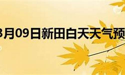 新田天气预报15天查询_新田天气预报