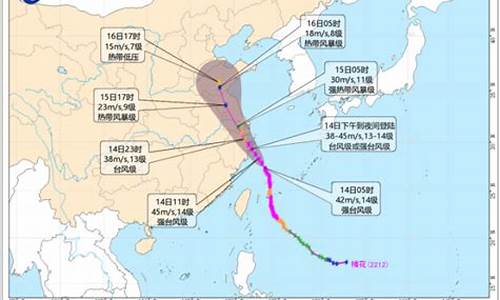 梅花台风_梅花台风路径