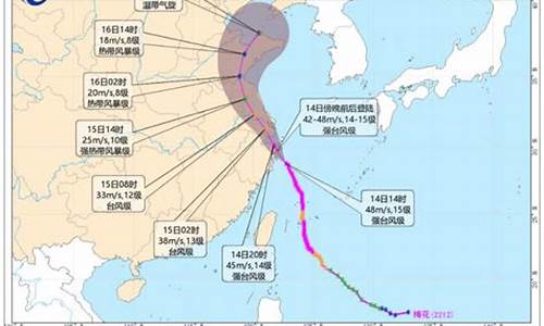 2022年台风有多少个_2022年台风有多少个月份